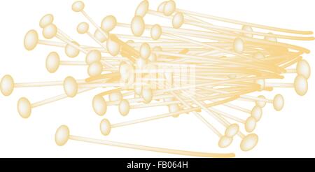 Gemüse, Vector Illustration Stapel von frischen weißen Enoki-Pilze isoliert auf einem weißen Hintergrund. Stock Vektor