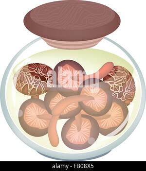 Gemüse, Illustration von marinierten Shiitake-Pilze oder erhaltene Lentinula Edodes Pilze in einem Glas, Isolated on White Stock Vektor