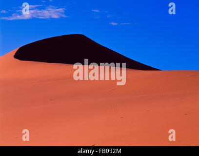 Coral pink Sand Dunes State Park in der Nähe von Kanab, utah Stockfoto