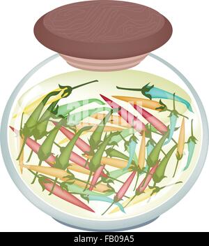 Illustration der leckere eingelegte Chilischoten in Essig, Zucker, Salz und Gewürz in einem Glas isoliert auf weißem Zeitmessung Stock Vektor