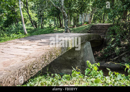 In My Son Sanctuary Stockfoto