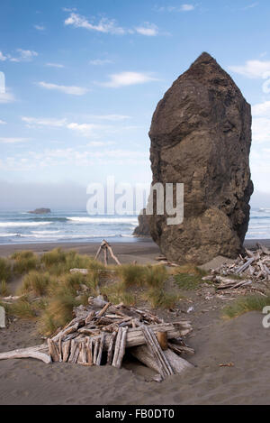 Treibholz auf der Küste von Oregon in der Nähe die Felsformationen am Strand von Pistol River State Aussichtspunkt. Stockfoto