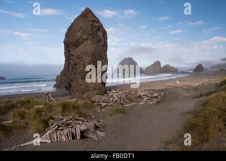 Treibholz auf der Küste von Oregon in der Nähe die Felsformationen am Strand von Pistol River State Aussichtspunkt. Stockfoto