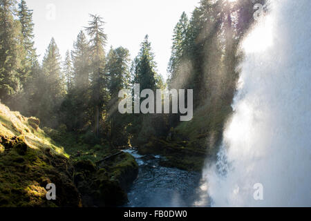 Sahalie Fälle ist eine beliebte Wasserfall befindet sich weg von den McKenzie River Highway im Linn County, Oregon. Stockfoto