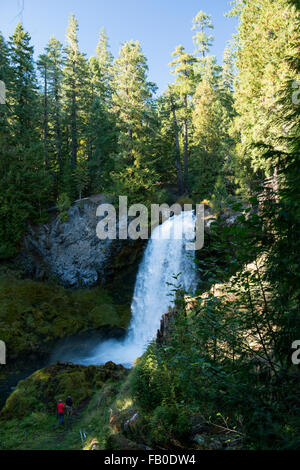 Zwei junge Männer wandern zum Sahalie Wasserfall, eine beliebte befindet sich weg von den McKenzie River Highway im Linn County, Oregon anzeigen Stockfoto