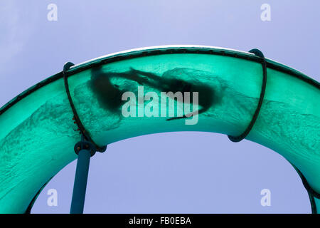 Adelaide, Australien. 7. Januar 2016. Menschliche Silhouetten in verschiedenen Verrenkungen wie Menschen eine Riesen-Wasserrutsche in Glenelg Adelaide an einem warmen Sommertag Credit gehen: Amer Ghazzal/Alamy Live-Nachrichten Stockfoto