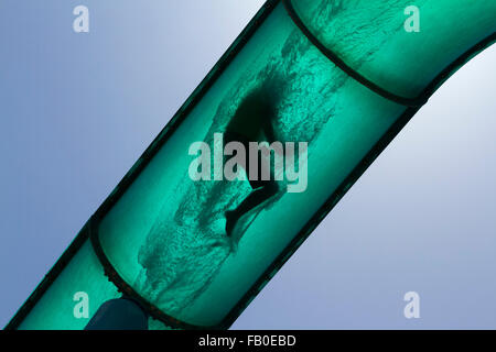 Adelaide, Australien. 7. Januar 2016. Menschliche Silhouetten in verschiedenen Verrenkungen wie Menschen eine Riesen-Wasserrutsche in Glenelg Adelaide an einem warmen Sommertag Credit gehen: Amer Ghazzal/Alamy Live-Nachrichten Stockfoto