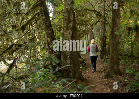 Eine Frau Wanderungen in das untere Ende des 26-Mile McKenzie River National Recreation Trail in der Nähe von McKenzie Brücke, Oregon. Stockfoto