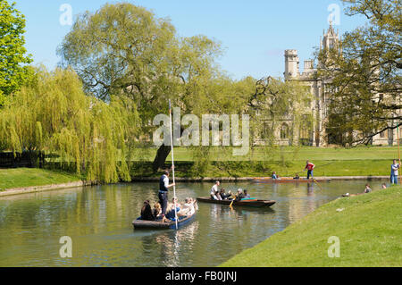 Bootfahren auf dem Fluss Cam hinter der Hochschulen in einem Gebiet namens Rücken, Cambridge, England, UK Stockfoto