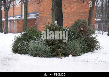 ausrangierte Weihnachtsbäume Stockfoto