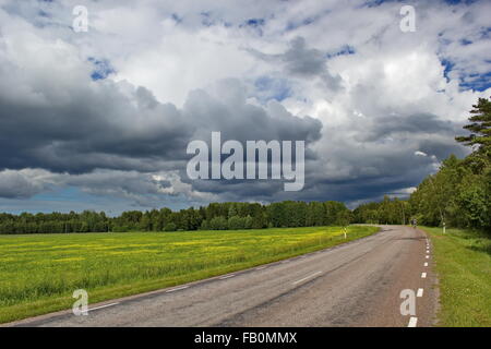 langer Weg quer durch das Land, Insel Saaremaa, Estland Stockfoto