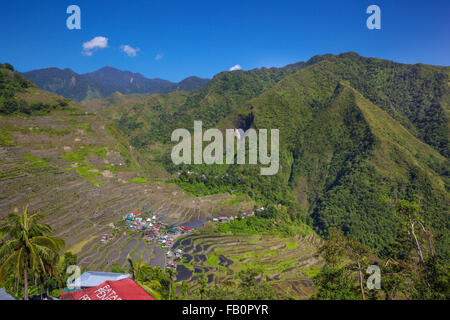 Landwirtschaftlichen Reisterrassen von Batad Philippinen Stockfoto