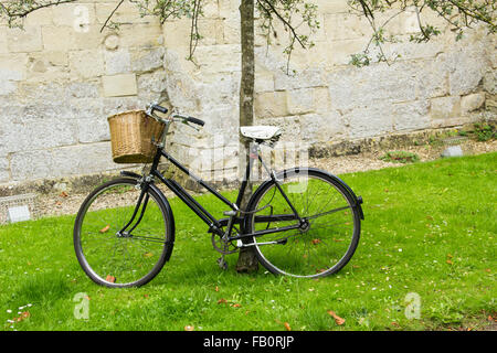 Traditionelle Damen Fahrrad mit Korb vorn und Kreuzer Typ Lenker, angekettet an einen dünnen Baum in der Nähe der Kathedrale von Salisbur Stockfoto