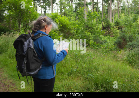 Walker, Blick auf eine Karte im Tyrebagger Forest Walk - in der Nähe von Aberdeen, Schottland, Vereinigtes Königreich. Stockfoto