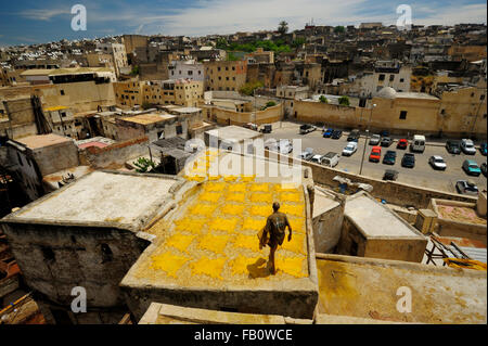 Gerbereien Chouwara, Souk Dabbaghin, Fes el Bali, Fes, Fes-Boulemane, Marokko Stockfoto