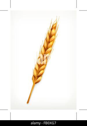 Ähren, Vektor icon Stock Vektor