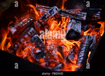 Verbrennung von Holz in einem Kohlenbecken, Nahaufnahme Stockfoto