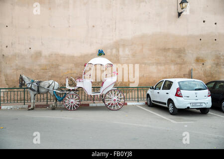 Pferdekutsche, Place el Hedim quadratisch, Meknès, Marokko Stockfoto