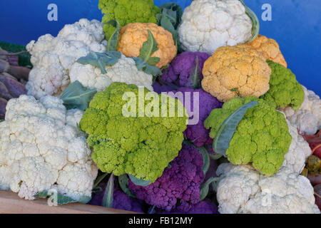 Bunte Blumenkohl, Bauernmarkt. Stockfoto