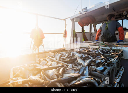 Kisten mit Fisch auf Boot mit Fischer stehen im Hintergrund Stockfoto