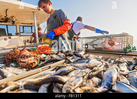 Drei Fischer arbeiten am Boot Stockfoto