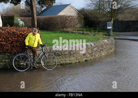 Combe, Herefordshire, England. 7. Januar 2016. Ein Radfahrer zögert vor der Entscheidung nicht zu den überfluteten B4362 in Combe an der Grenze von England-Wales verbindet Presteigne, Powys mit Shobdon, Herefordshire durchlaufen. Stockfoto