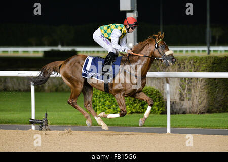 DUBAI, Vereinigte Arabische Emirate, 7. Januar 2016. Patrick Dobbs an der Rennbahn Meydan gewinnt Al Maktoum Challenge R1 präsentiert von Longines-Saint-Imier-Sammlung. Dobbs Ritt Thakif, im Besitz von seine Hoheit Shaikh Mansour bin Zayed Al Nahyan Credit: Feroz Khan/Alamy Live News Stockfoto