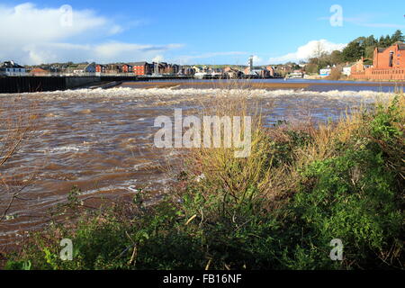 Fluß Exe in Flut an Karottenhosenträger Wehr, Devon, England, UK Stockfoto