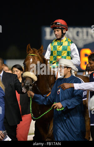 DUBAI, Vereinigte Arabische Emirate, 7. Januar 2016. Patrick Dobbs an der Rennbahn Meydan gewinnt Al Maktoum Challenge R1 präsentiert von Longines-Saint-Imier-Sammlung. Dobbs Ritt Thakif, im Besitz von seine Hoheit Shaikh Mansour bin Zayed Al Nahyan Credit: Feroz Khan/Alamy Live News Stockfoto