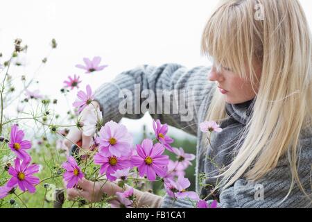 Mitte adult Frauenbeschneidung Bio Blumen im Garten Stockfoto