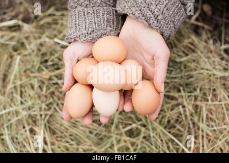 Nahaufnahme von Frau mit Handvoll Bio-Eiern Stockfoto