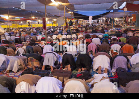 Dhaka, Bangladesch. 7. Januar 2016. DHAKA, Bangladesch 07t Januar 2016: muslimische Gläubige beten Magreb Gebet im Zelt auf dem Ijtema Platz in Tongi in der Nähe von Dhaka am Januar 07, 2016.Thousands der Muslime kommen für die dreitägige jährliche Versammlung, die gilt als einer der weltweit größten islamischen Versammlungen gehalten seit 1960Ã ¢ Â €Â™s, islamische Lehren wieder zu beleben. Die erste Phase des Biswa Ijtema wird im Januar ca. 8-10 und zweite Phase wird Januar 16-18 statt statt. Bildnachweis: Zakir Hossain Chowdhury/ZUMA Draht/Alamy Live-Nachrichten Stockfoto