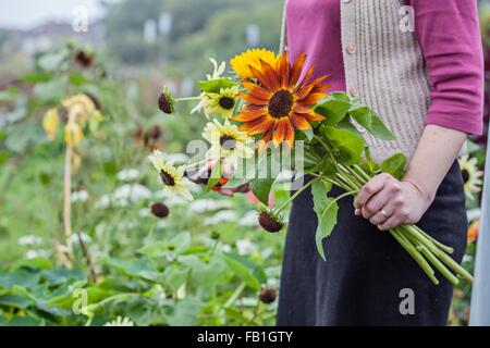 Blick auf Frau schneiden frische Blumen bei Zuteilung beschnitten Stockfoto