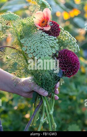 Hand der Frau mit frischen Blumen und Farne bei Zuteilung Stockfoto