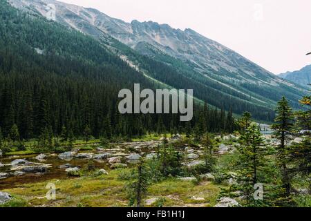 Felsige Landschaft und Wald unter Gebirge, Moraine Lake, Banff Nationalpark, Alberta Kanada Stockfoto