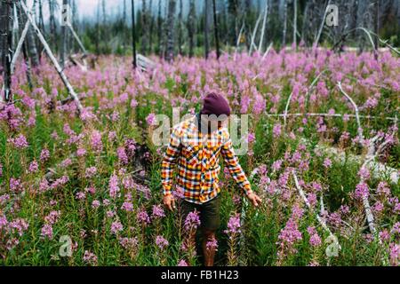 Mitte erwachsenen Mann mit Karohemd im Bereich der Wildblumen blickte, Moraine Lake, Banff Nationalpark, Alberta Kanada Stockfoto