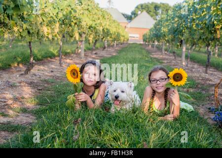 Zwei junge Mädchen mit Hund, auf dem Rasen liegen halten Sonnenblumen Stockfoto