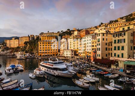 Erhöhten Blick auf Yacht und Boote im Hafen, Camogli, Ligurien, Italien Stockfoto