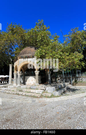 Der Hippokrates-Platane, gepflanzt von Hippokrates, Plane Tree Square, Kos-Stadt, Insel Kos, Dodekanes-Gruppe von Inseln, Süd Stockfoto