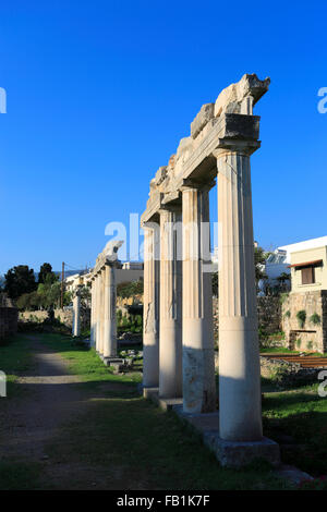 Spalten der alten hellenistischen Gymnasium, Xisto, Kos Stadt, Insel Kos, Dodekanes Gruppe von Inseln, Süd Ägäis, Griechenland Stockfoto