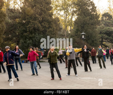 Menschen Sie Praktizierenden T'ai Chi ch'ua, lila-Bambus-Park, Peking, China, Asien Stockfoto