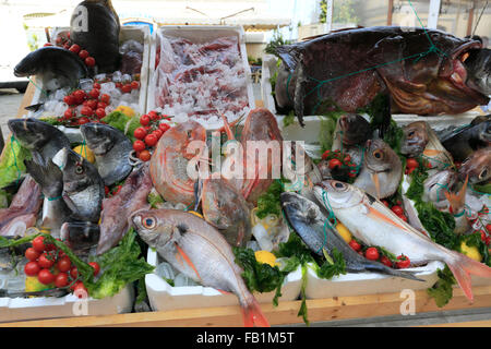 Frischer Fisch stall in Borgo Marina, Altstadt von Naples Stadt, Weltkulturerbe, Campania Region, Italien, Europa Stockfoto