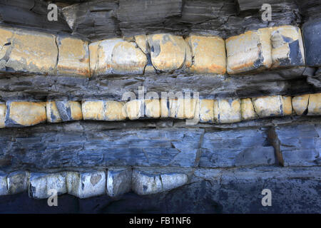 Jurassic blaue Lias Felsen, Bridgwater Bay, Somerset, England. Stockfoto