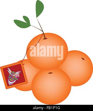 Traditionelles Chinesisch, Illustration von Mandarin Orange mit roten Fortune Karte zum chinesischen Neujahr feiern. Stock Vektor