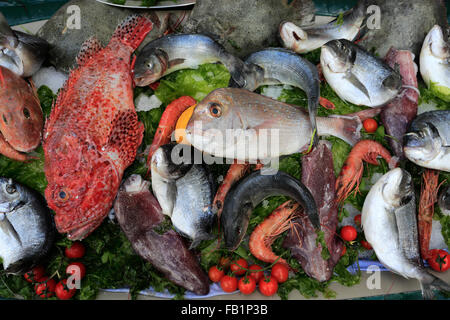 Frischer Fisch stall in Borgo Marina, Altstadt von Naples Stadt, Weltkulturerbe, Campania Region, Italien, Europa Stockfoto