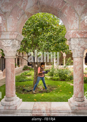 Mit Handschuhen, eine afroamerikanische Gärtner Pflanzen Setzlinge im Kreuzgang Cuxa im The Cloisters Museum in New York City. Beachten Sie die mittelalterlichen Architektur. Stockfoto