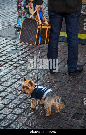 louis vuitton taschenanhänger hund