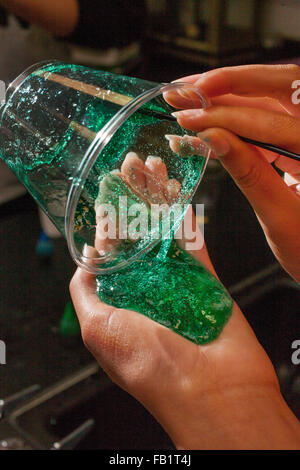 Eine Mischung aus Polyvinylalkohol und Kalium Borat mit grünen Gemüse Farbe hinzugefügt Ergebnisse in einen bunten querverbundene Polymer Schleim Veranschaulichung Wasserstoff-Bindung. Stockfoto