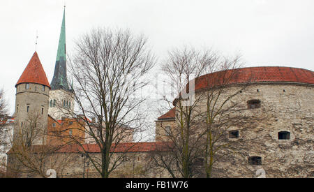 Dicke Margarethe Turm und St Olafs Kirche, mittelalterlichen Altstadt von Tallinn, Estland, EU Stockfoto