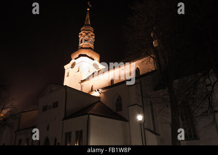 St. Mary Cathedral auch bekannt als die Domkirche in Altstadt Tallinn in der Nacht Stockfoto